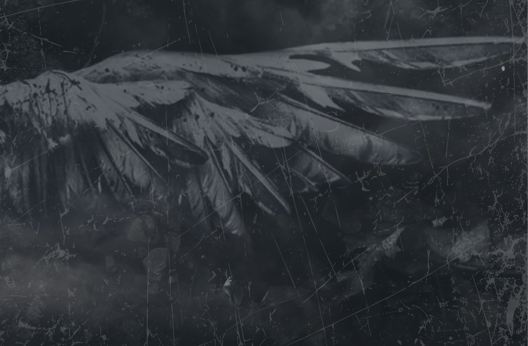 Shadows of Ruin: WIP Concept